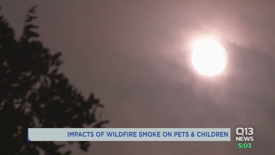 Kids, pets more at risk with smoke exposure