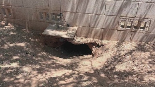 Arizona man becomes stuck in tortoise hole