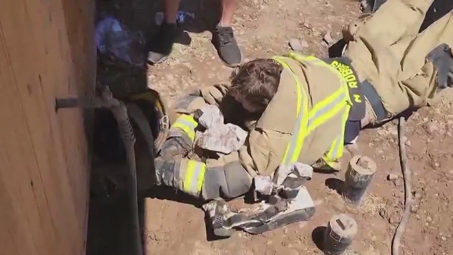 Dog rescued by Phoenix firefighter with the same name as him