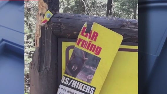 Bear warning sign damaged by bears