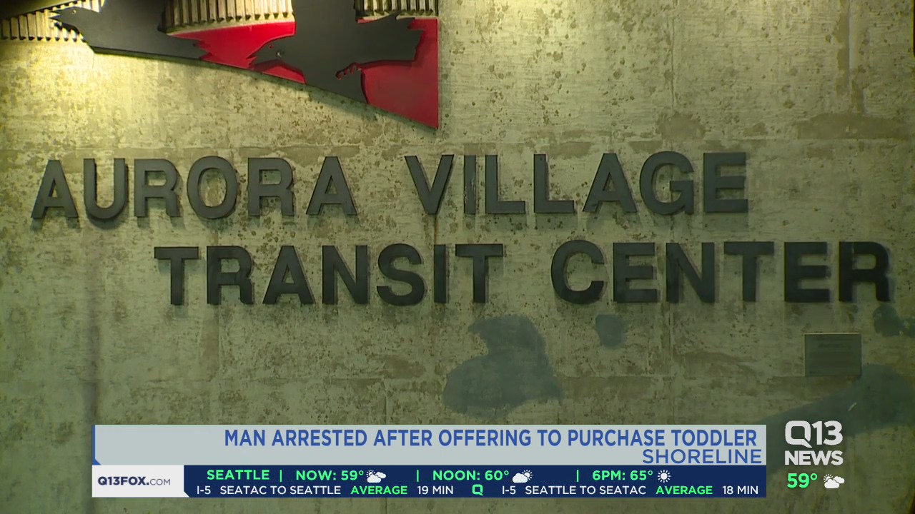 Man arrested for offering to purchase toddler