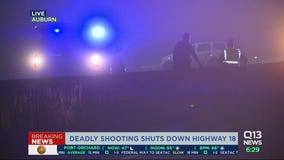 Deadly shooting shuts down highway