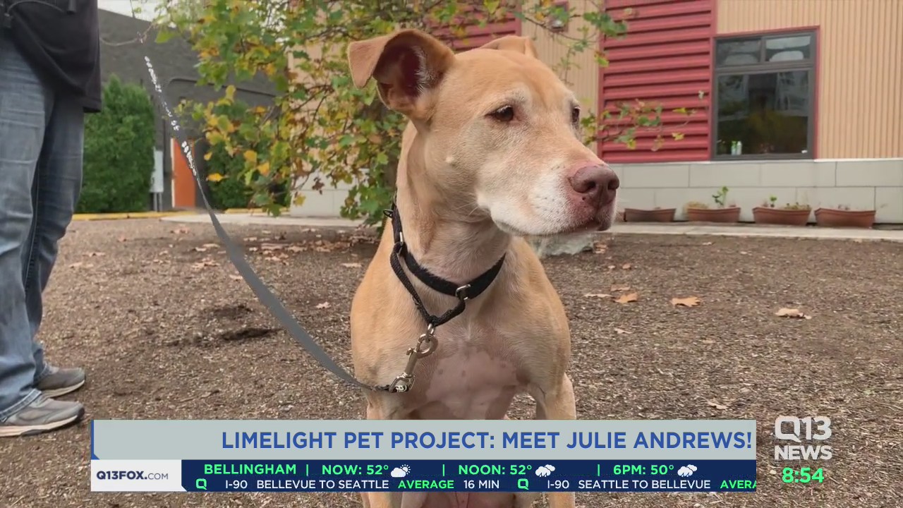 Limelight Pet Project: Meet Julie Andrews