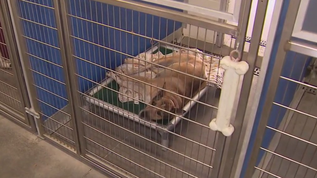 AAWL closes for weekend due to extreme heat