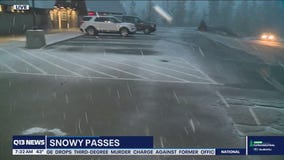 Snow falling at Snoqualmie Pass