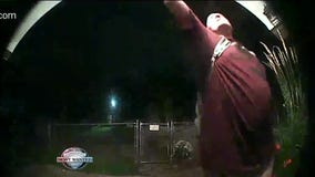 WANTED: Bold backyard burglars