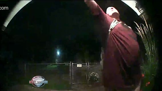 WANTED: Bold backyard burglars