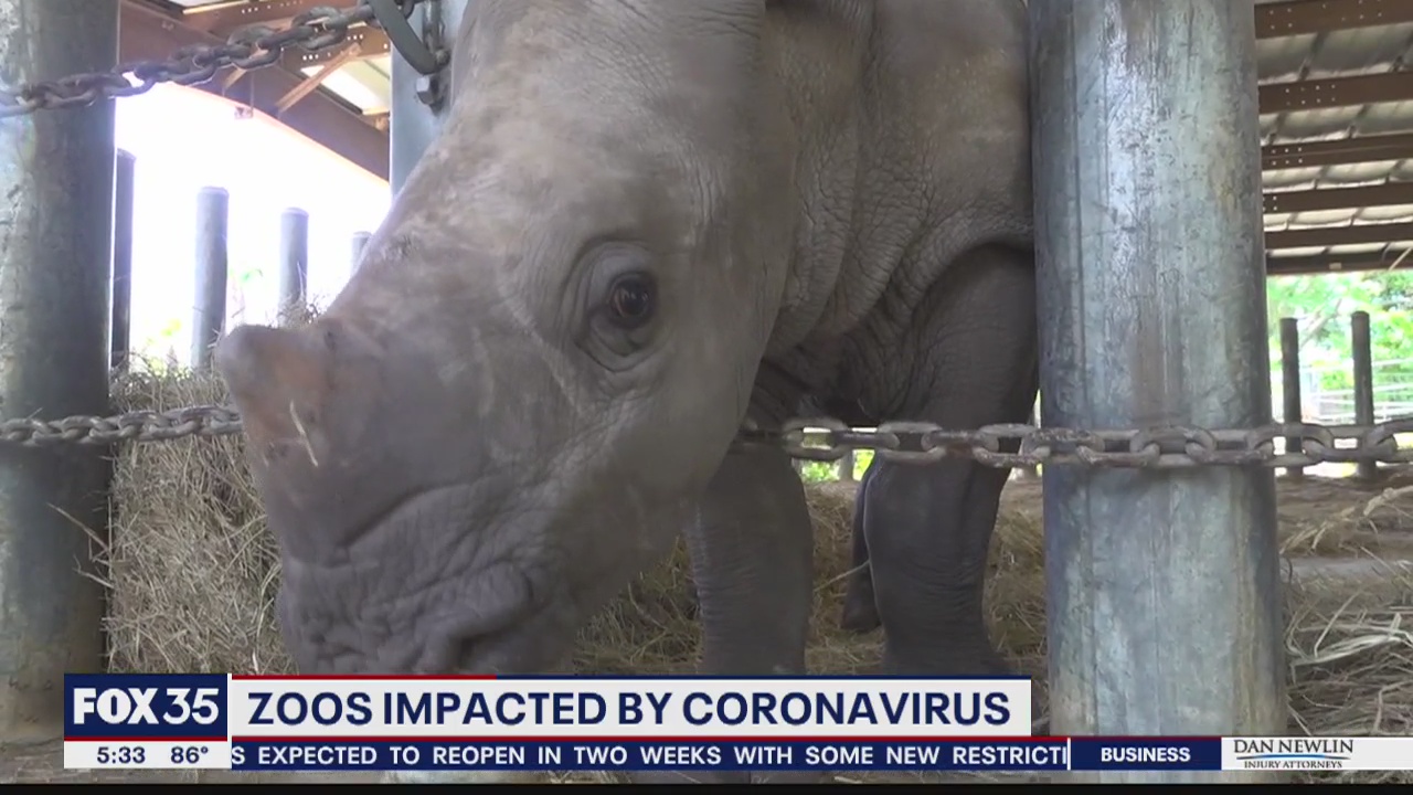 Zoos greatly impacted by coronavirus outbreak