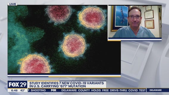 Study identifies 7 new COVID-19 variants in the U.S.