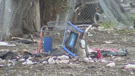 San Jose wants to get tough on abandoned shopping carts