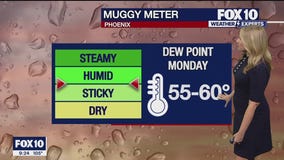 Evening Weather Forecast - 7/23/23