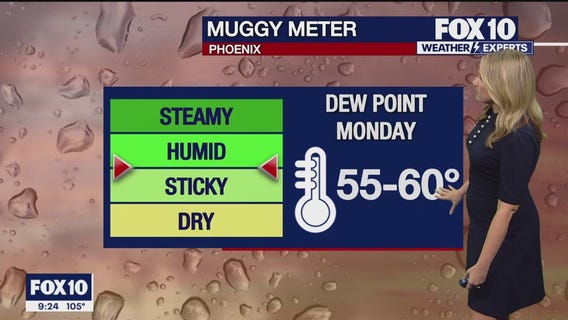 Evening Weather Forecast - 7/23/23