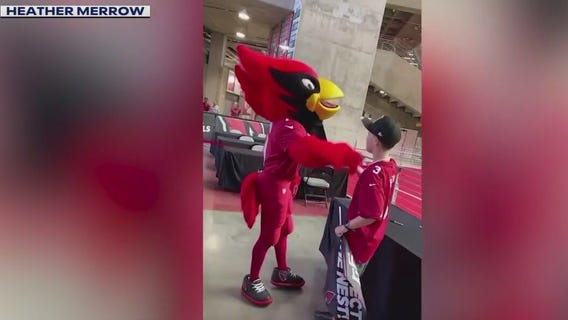 Families enjoy Cardinals training camp