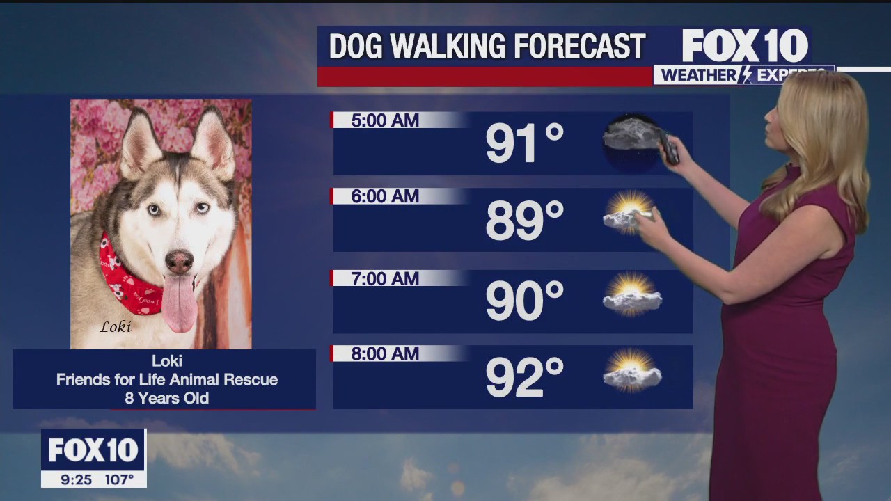 Evening Weather Forecast - 7/30/23