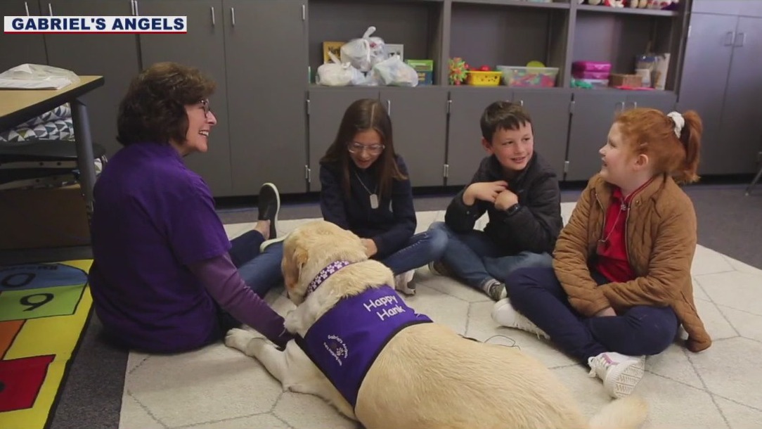 Gabriel's Angels in need of volunteers