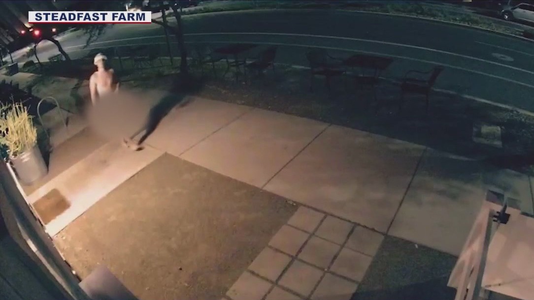 Naked man breaks into Mesa store and coffee shop