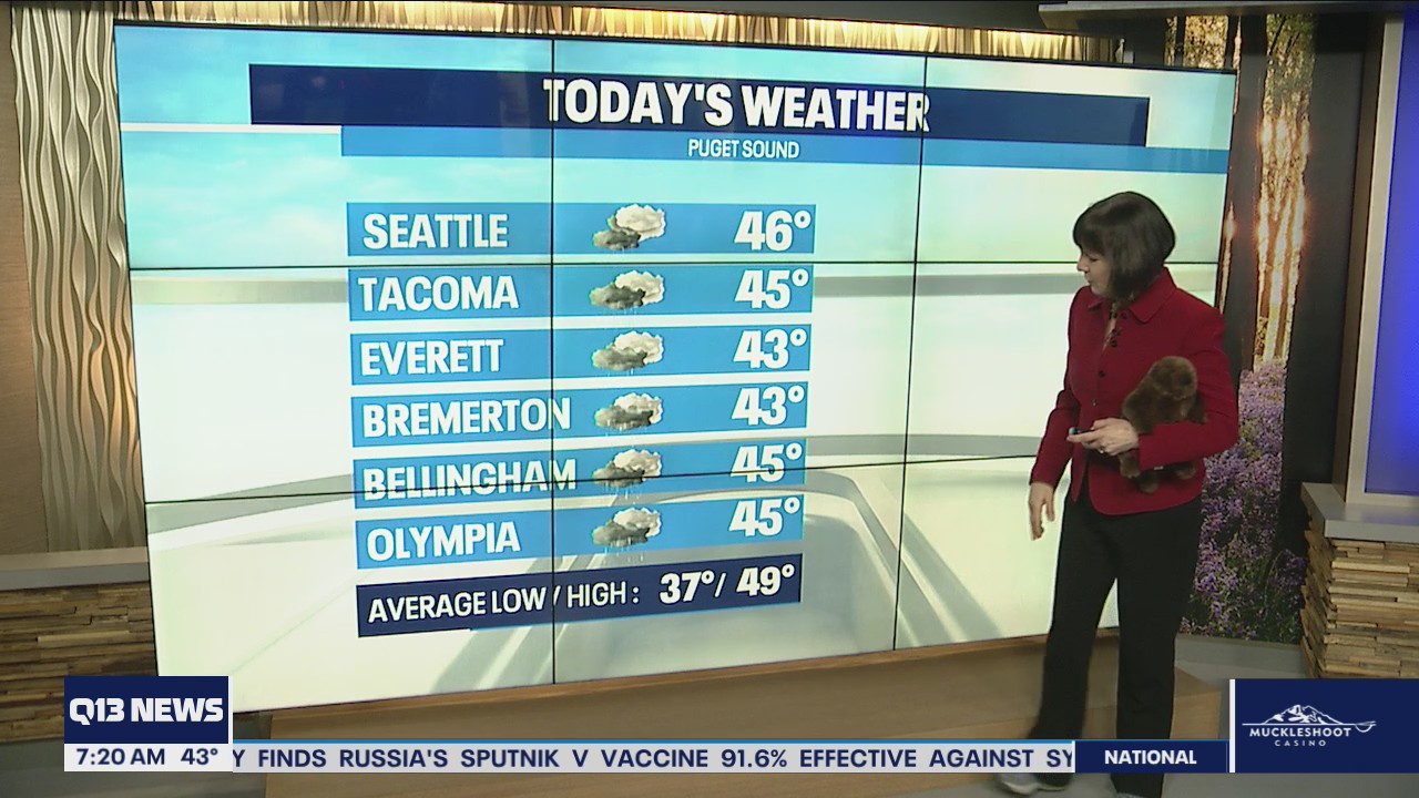 Rain at times Tuesday