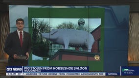 Giant fiber glass pig stolen from Woodinville rooftop