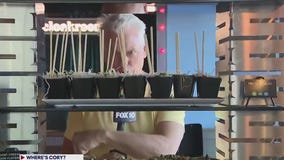 Tech-infused mini-golf at Puttshack