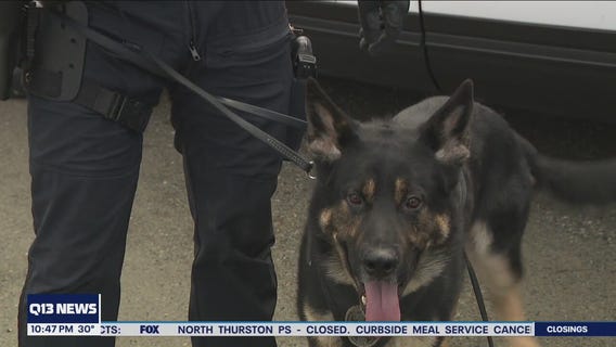 Meet Des Moines PD's two new K9s