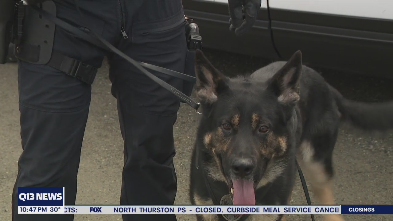 Meet Des Moines PD's two new K9s