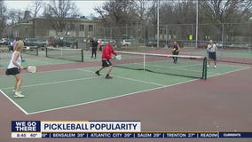 Pickleball Popularity