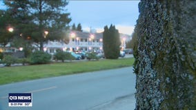 Identity thieves cashing in on local hotels