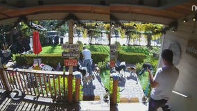 Wag dog walker charged with animal cruelty; customers concerned about industry background checks