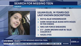 Renton teen missing