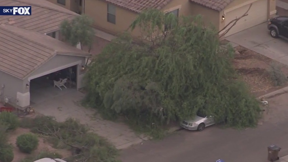 Storm rips through San Tan Valley