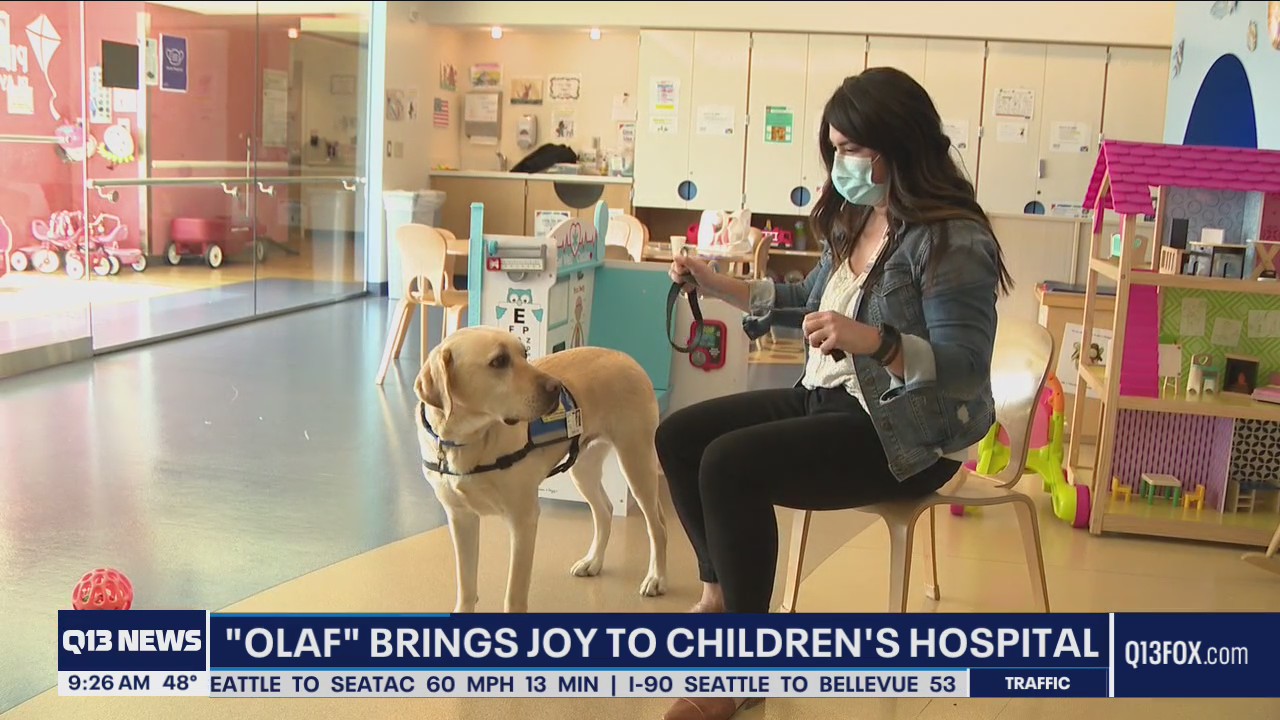Olaf the dog brings joy to Mary Bridge Children's Hospital