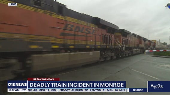 Pedestrian killed by train