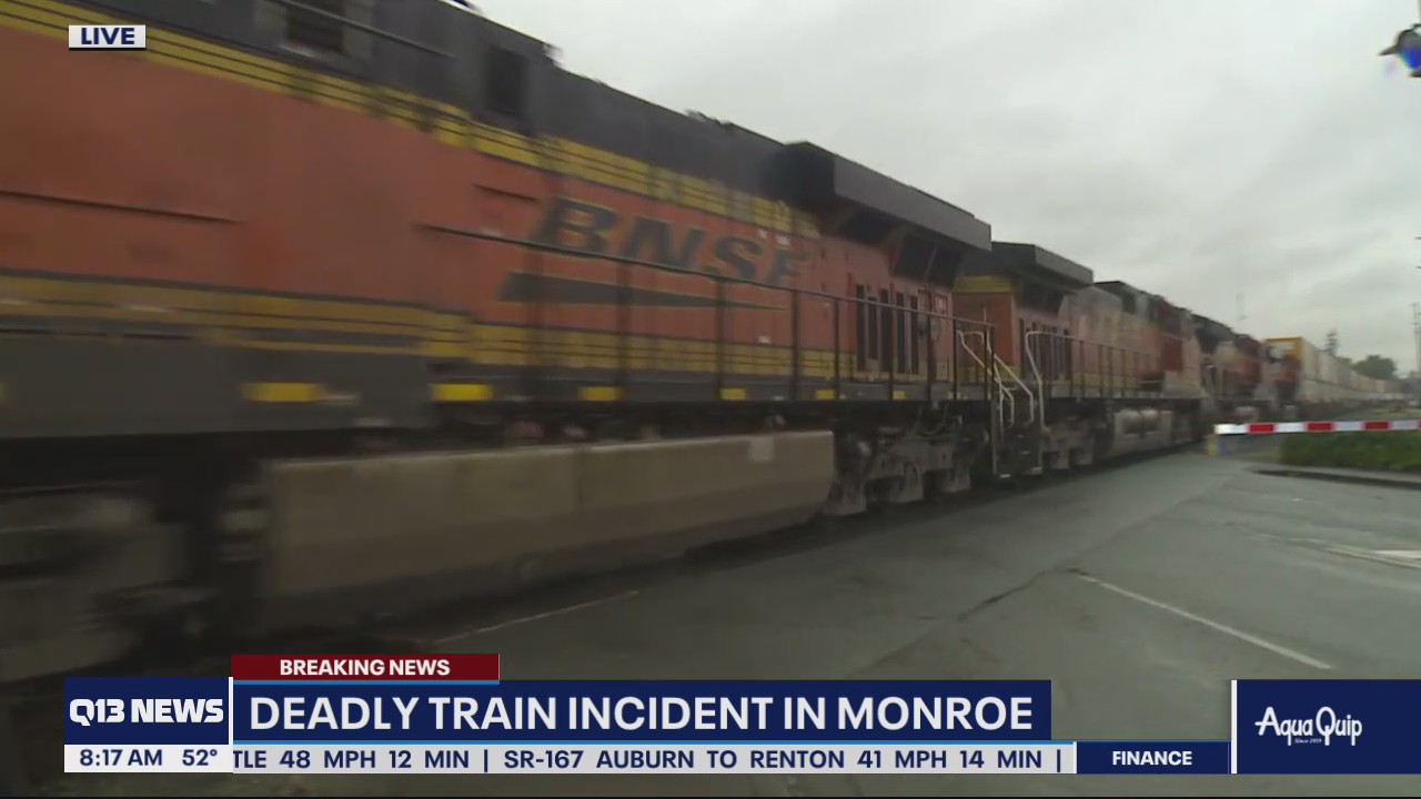 Pedestrian killed by train