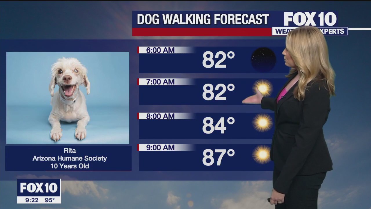 Evening Weather Forecast - 9/3/23