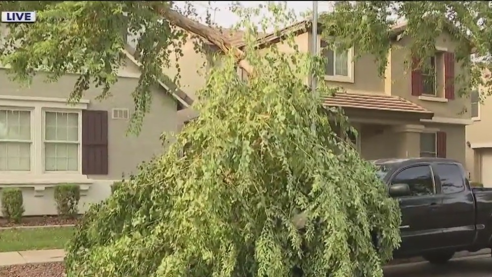 Taking a look at storm damage aftermath in Phoenix