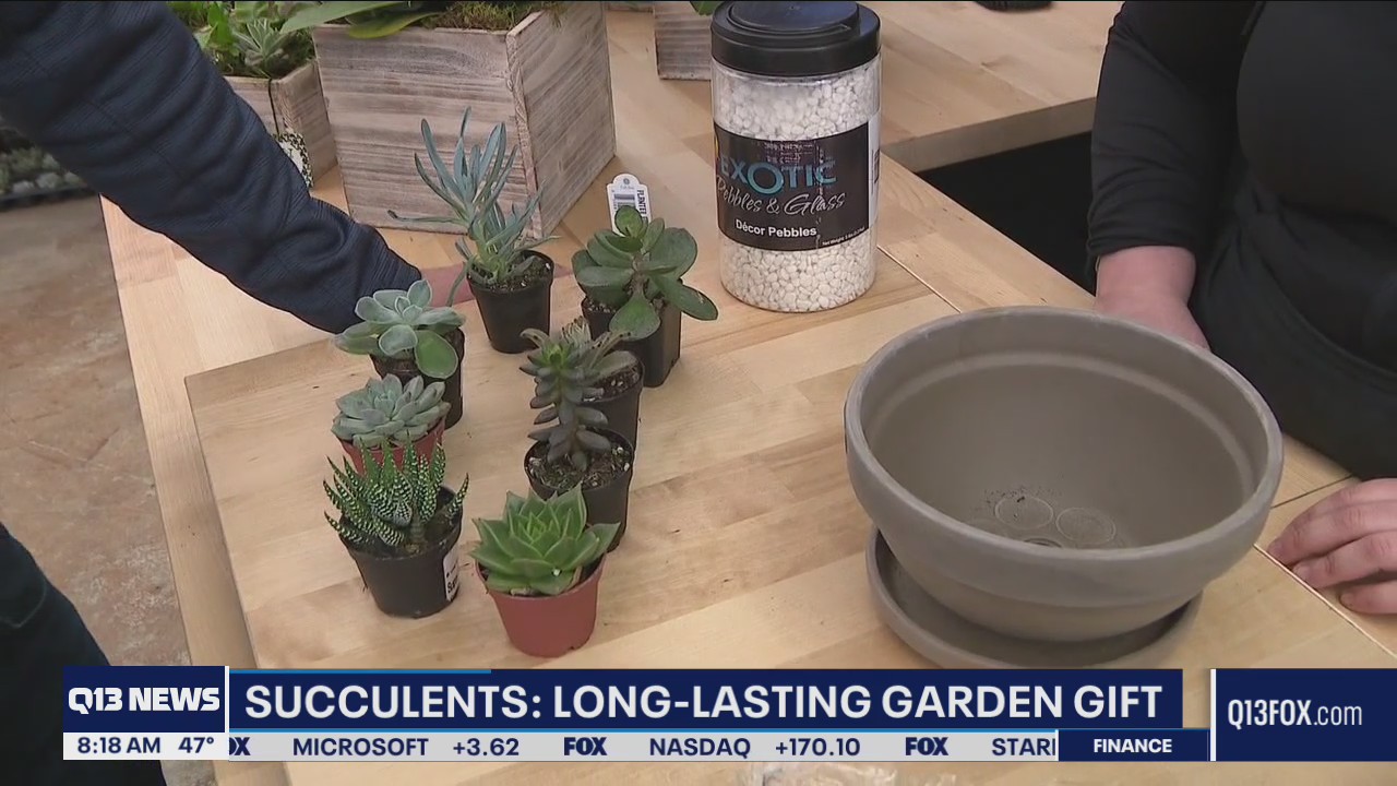 Gardening with Tim: Long lasting garden gifts for mom