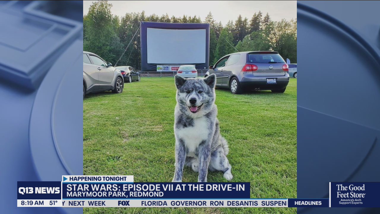 Celebrate Star Wars Day at Marymoor Drive-in