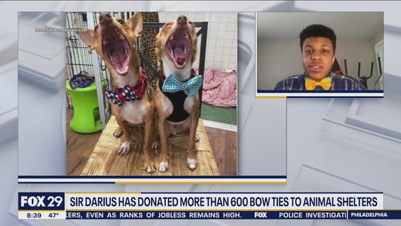 NJ teenager on mission to help pets get adopted