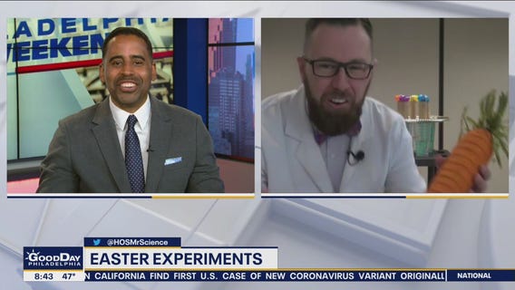 Easter science experiments to try