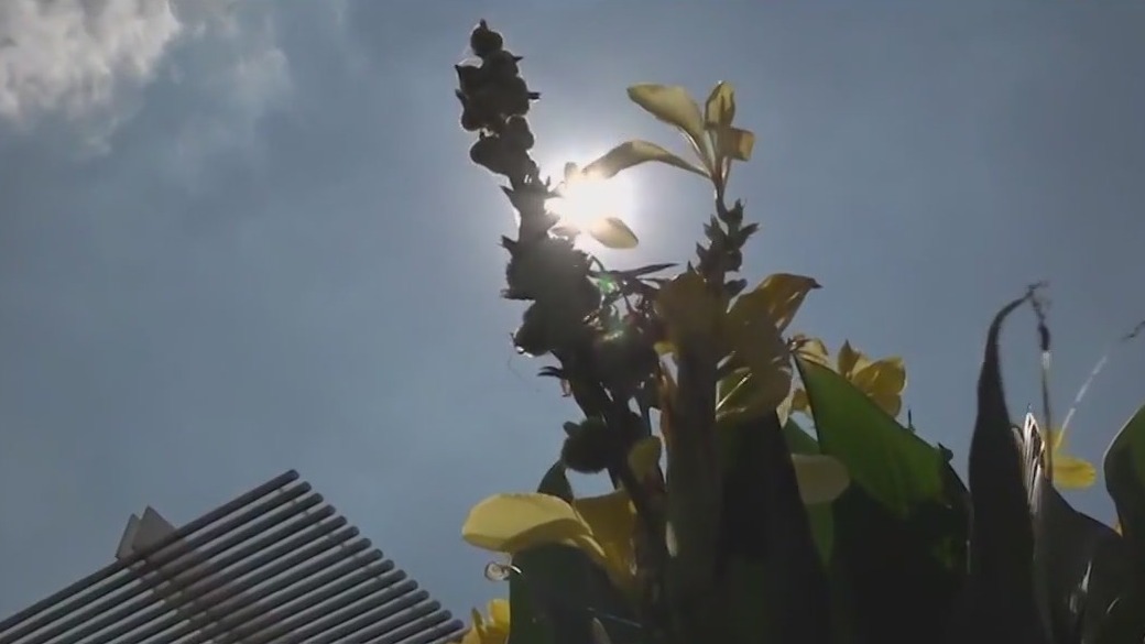 Jul. and Aug. 2023 among the hottest summer months