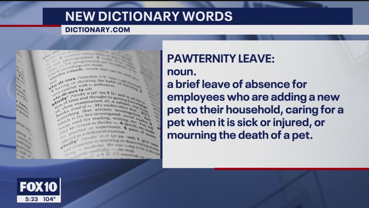 Dictionary.com adds 3,000 new words