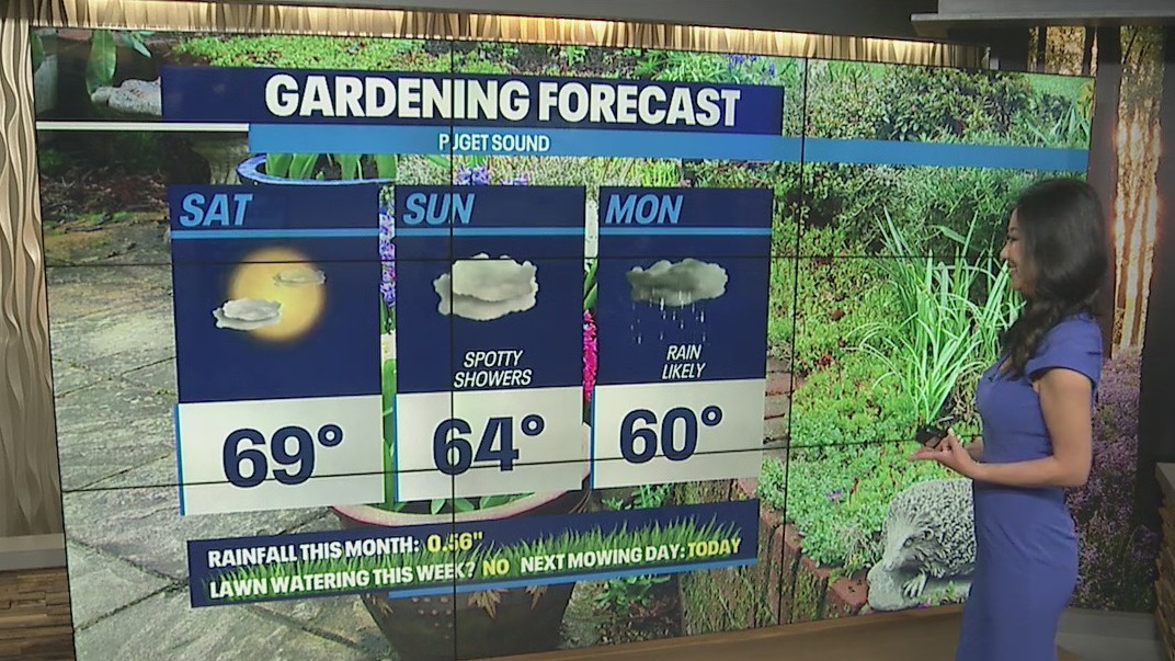 Sunny and warm, rain returns Sunday