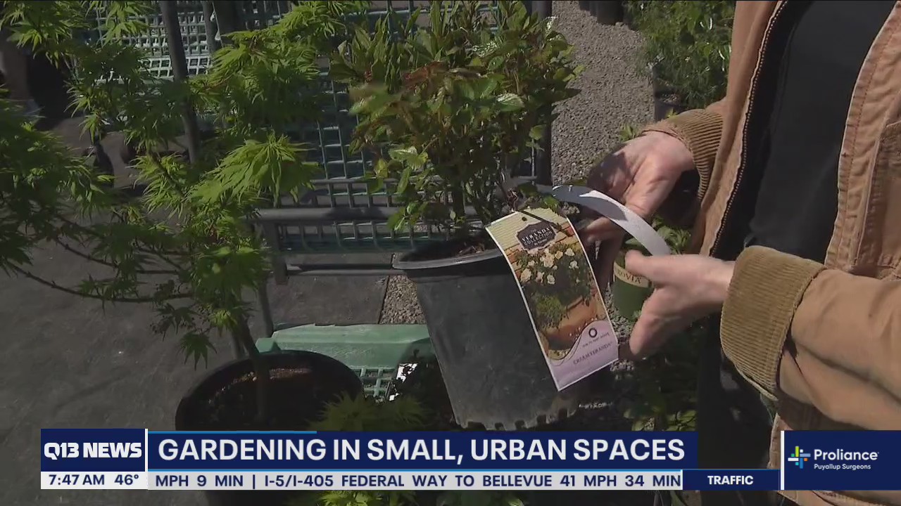 Gardening in small urban spaces