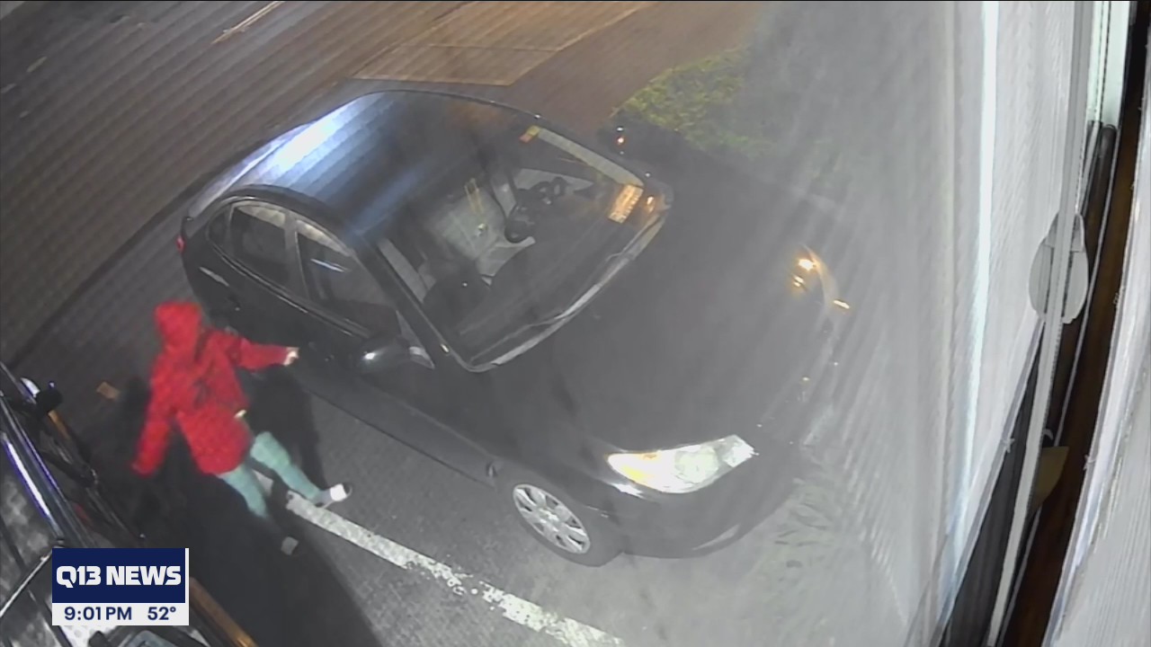 Burien mom installs cameras after home break in; shocked what they catch in one week