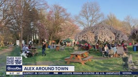 Alex Around Town: Philadelphia Cherry Blossoms reach their peak