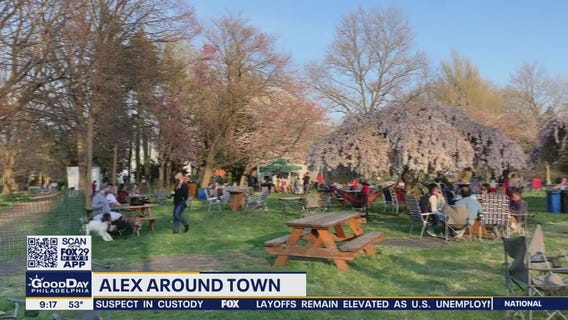 Alex Around Town: Philadelphia Cherry Blossoms reach their peak