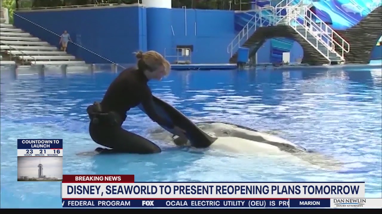 Disney, SeaWorld to present reopening plans