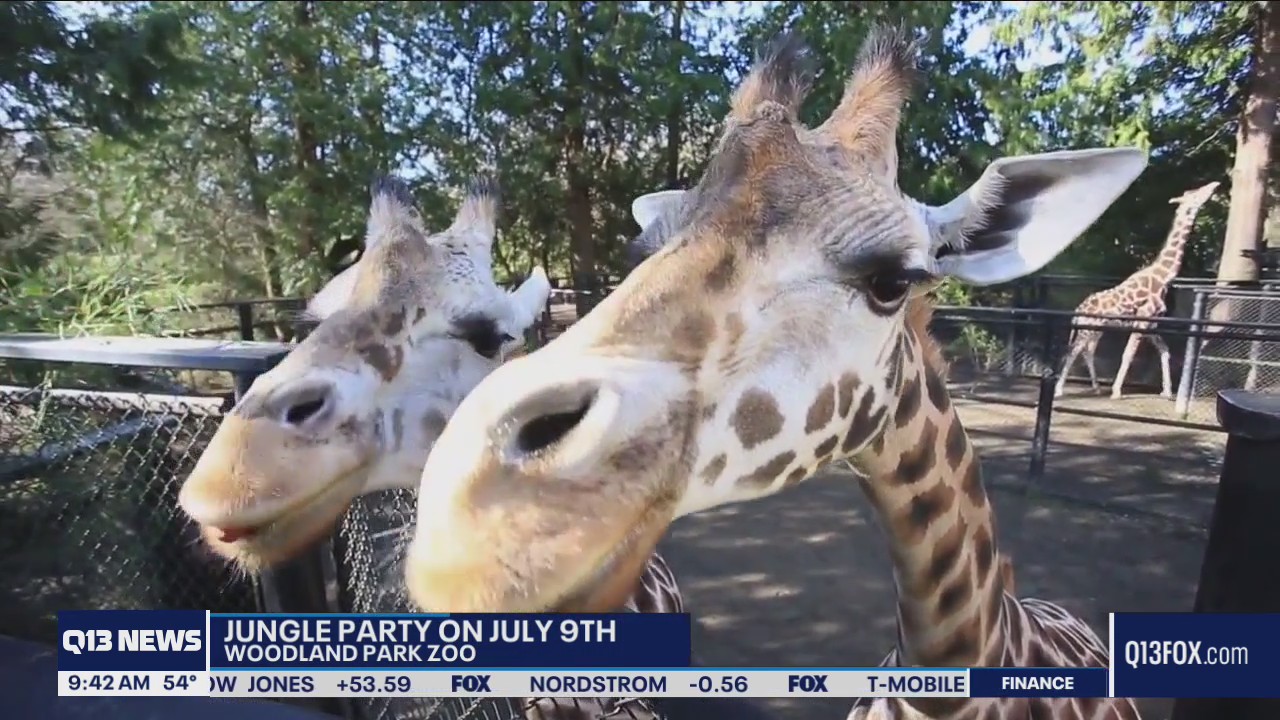 Jungle Party at Woodland Park Zoo