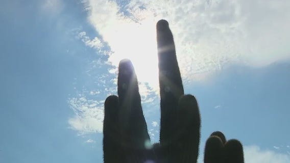 Phoenix hiking trails a week after new heat restrictions