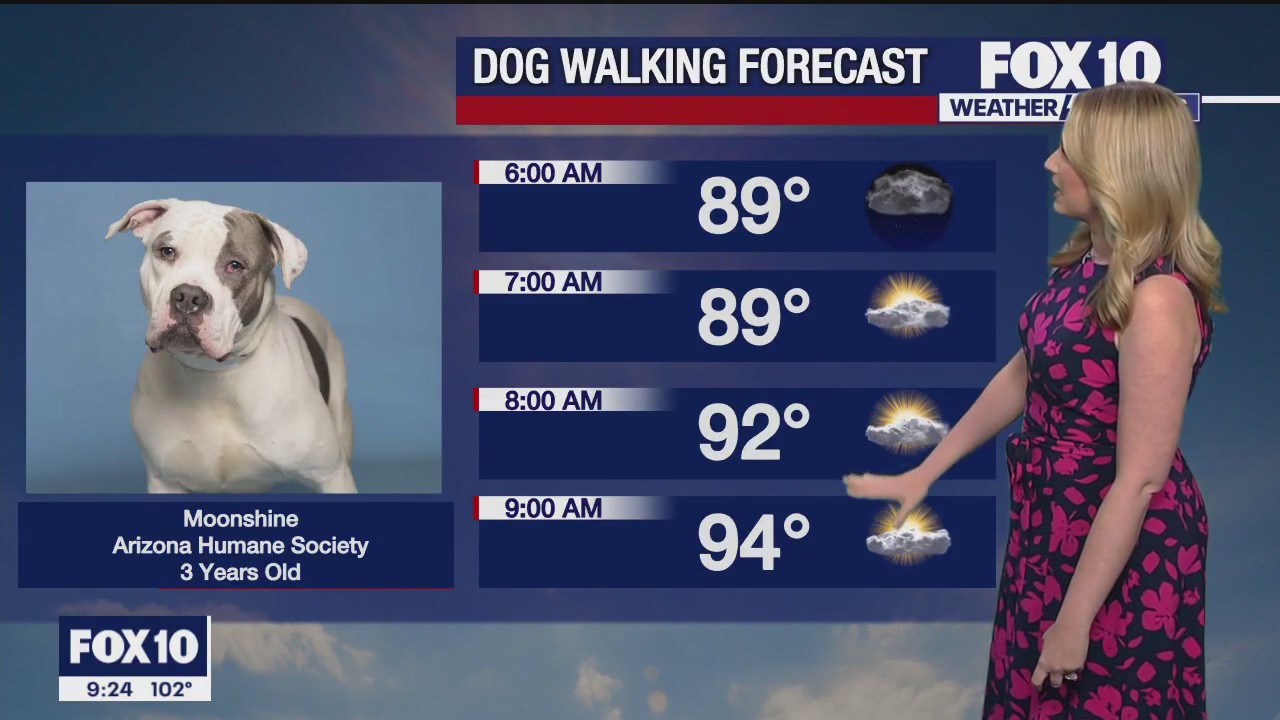 Evening Weather Forecast - 9/10/23